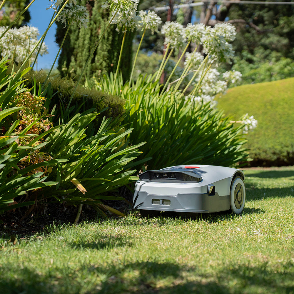 Ist der teure Roboter-Rasenmäher es wert?