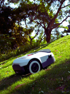Anthbot Partnerprogramm