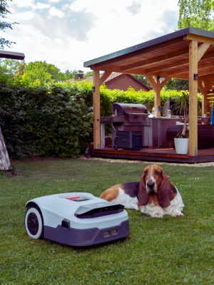 Anthbot Partnerprogramm