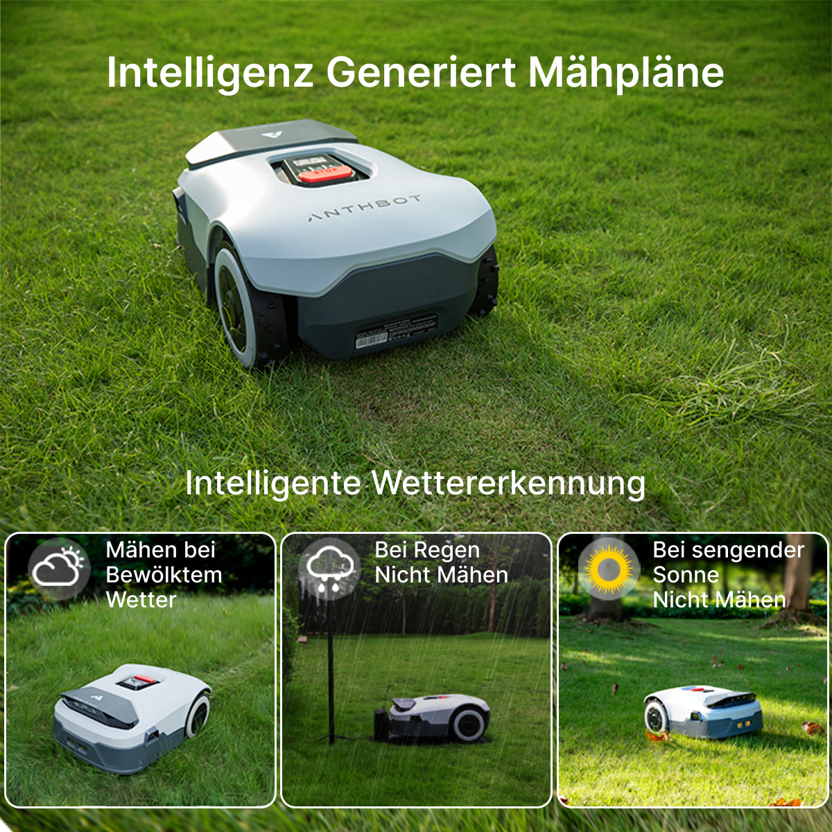Generalüberholt ANTHBOT Genie