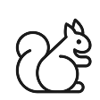 Eichhörnchen