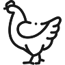Huhn
