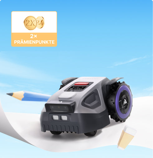 Back-to-School Angebote M5