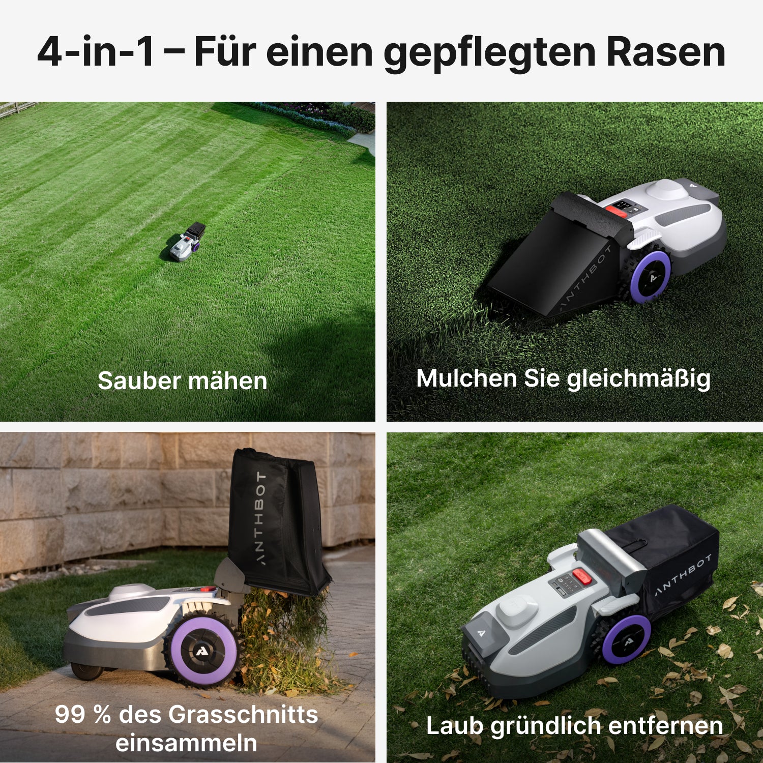 ANTHBOT N8 4-in-1-Rasenroboter mäht sauber, mulcht gleichmäßig, sammelt Grasschnitt ein und entfernt Laub für einen gepflegten Rasen,scene