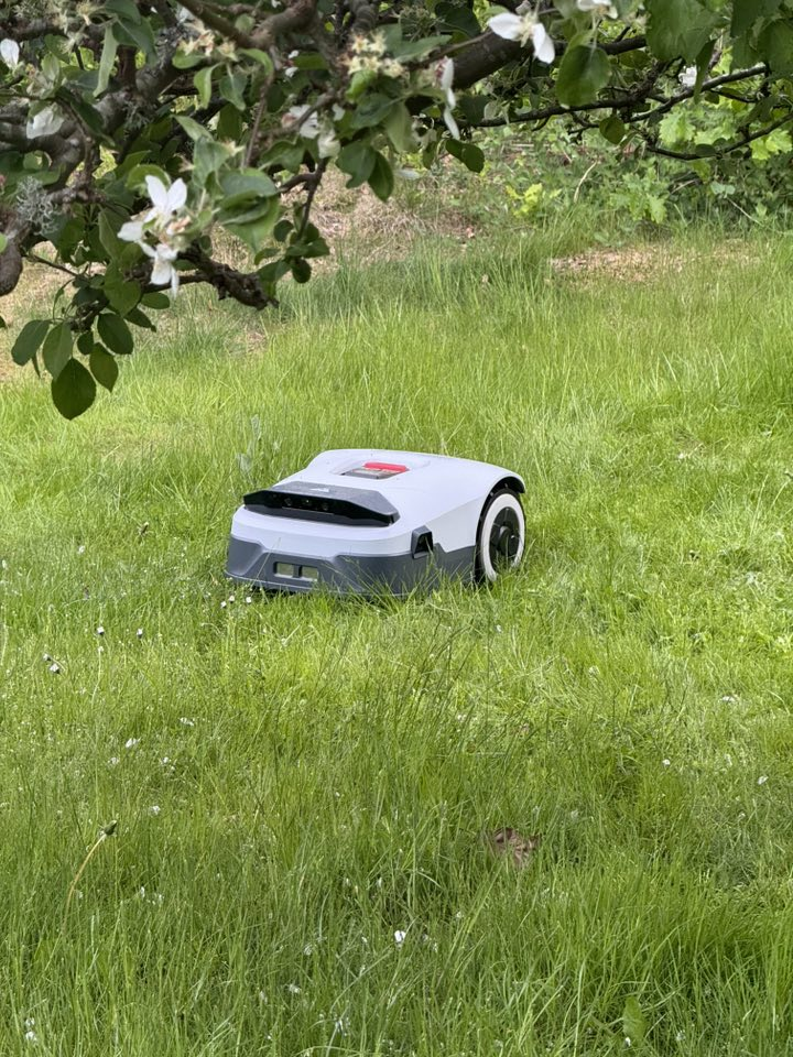anthbot Erfahrungen
